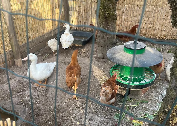 Refugio Tilias Prázdninový dům