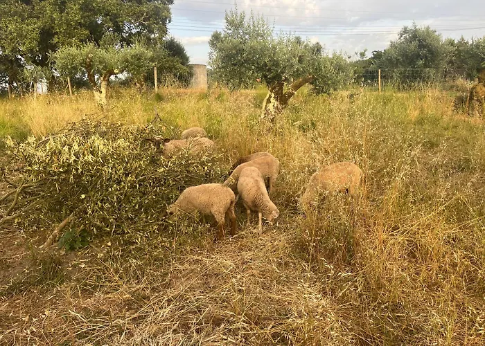 Prázdninový dům Refugio Tilias Santiago de Litem